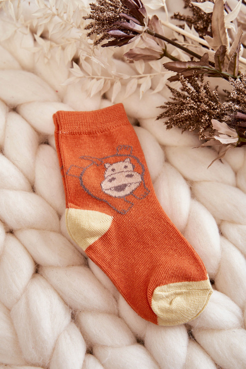 Dziecięce Skarpetki Ze Zwierzątkami 5-Pak Multikolor