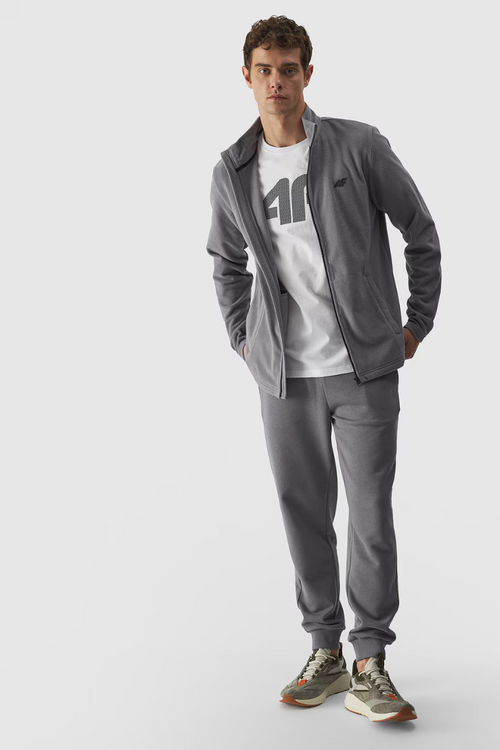 Polar Męski Regular Ze Stójką 4F 4FWMM00TFLEM289-25S Szary