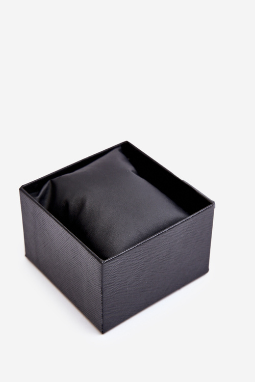 Pudełko Na Zegarek Giorgio&Dario