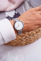 Odcienie szarości i srebra