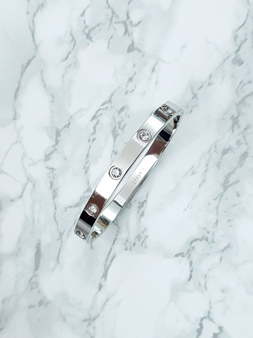 Damska Bransoleta Stalowa Z Cyrkoniami Srebrna 6mm Valerii